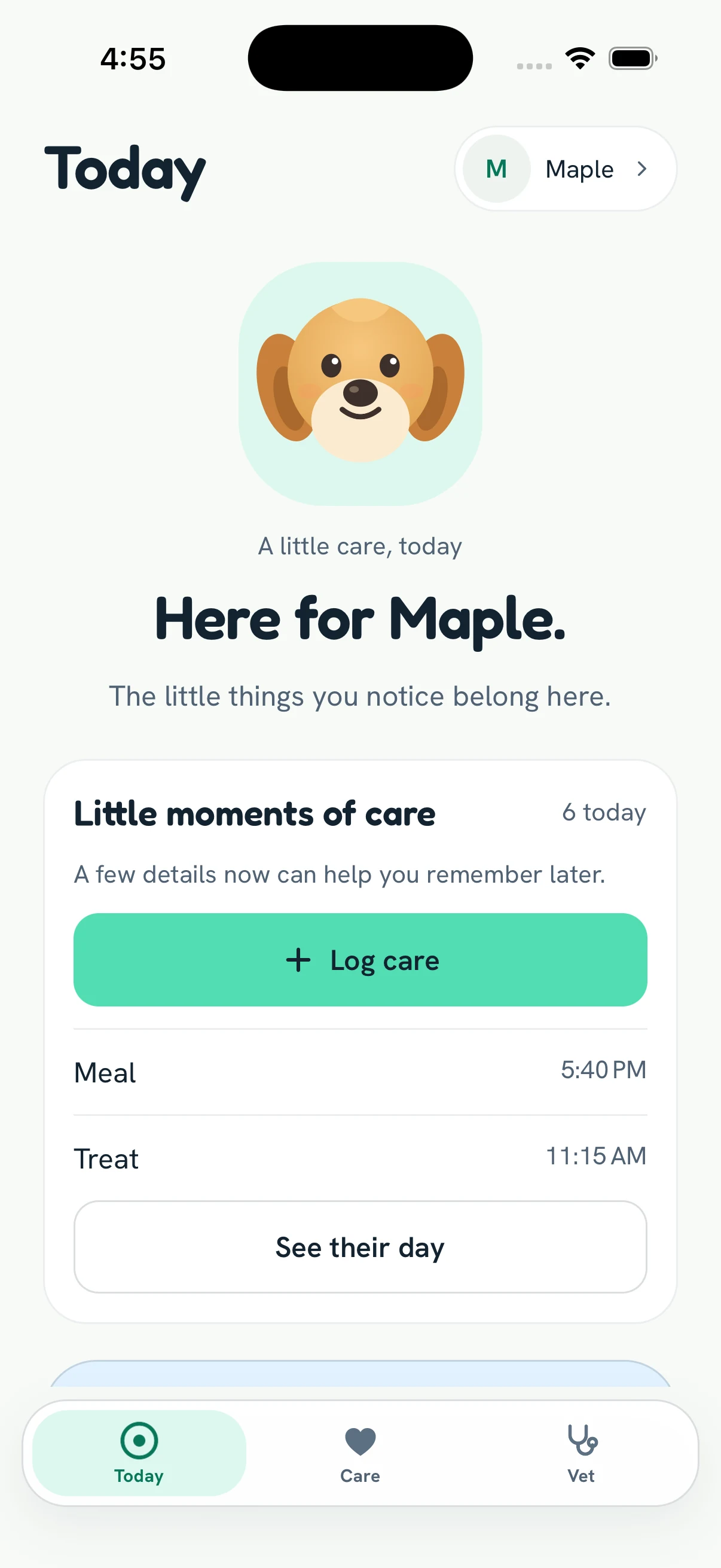 Carefully Today, with a pet’s identity, everyday care, and visit follow-up
