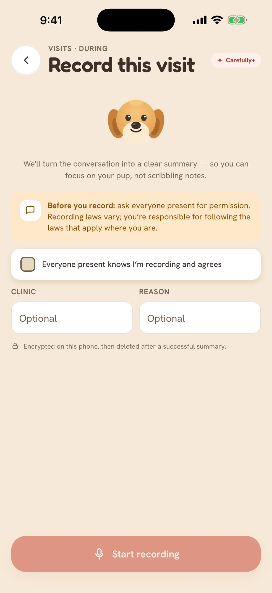 Carefully vet visit recording with consent confirmed, shown with example data